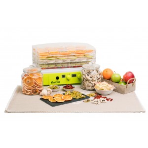 ESSICCO domestic food dehydrator